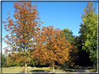 foto Parco Wilhelmshöhe in Autunno